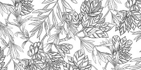 Botanic Black – Les Prints