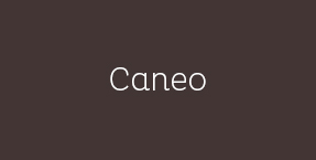 Nano Caneo – Stratifies Nano