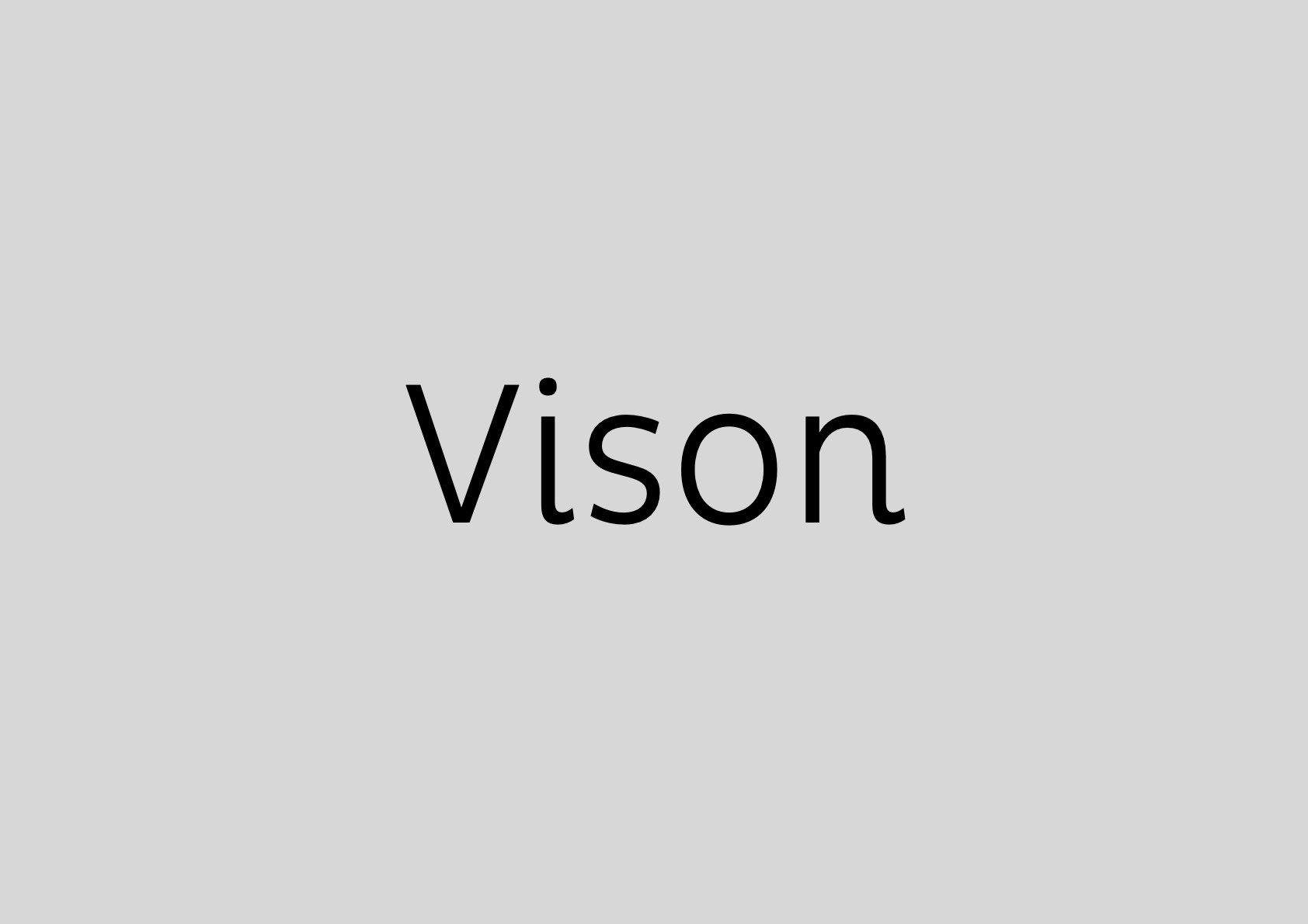 Vison